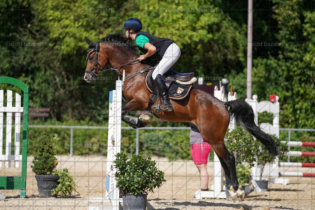 20240824-FAH08421 | Thierhaupten 2024, Bayerisches Landesponyturnier, Turnierbilder, Ponybilder, Turnierfotografen Bayern, Fotoagentur Herrmann