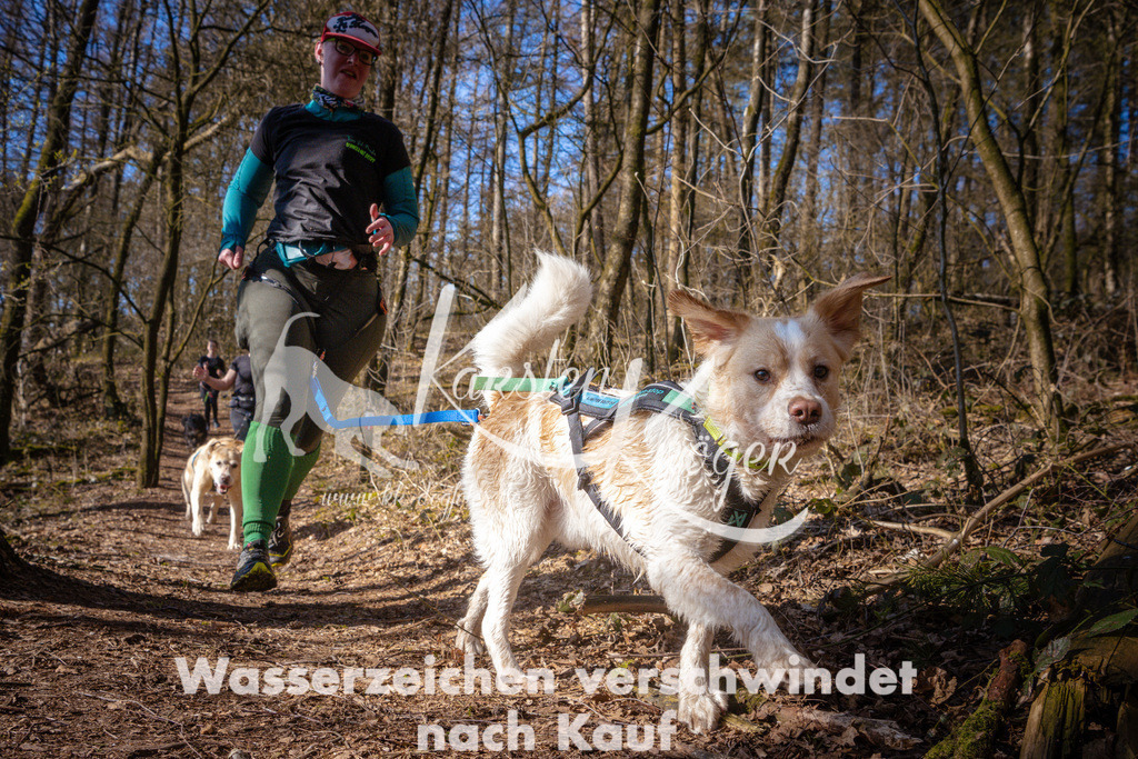 0935_ZZ99043 | kk-dogfotos