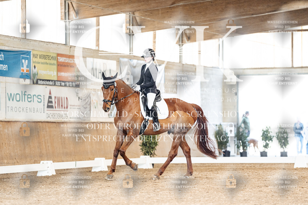 CK901076 | Turnierfotografie Pferdefotografie Trier Rheinland-Pfalz Pferdesport Reitsport Tierfotografie Sportfotografie Pferdevideo Pferdevideografie Equestrianvideography equestrianphotography  - Realized with Pictrs.com