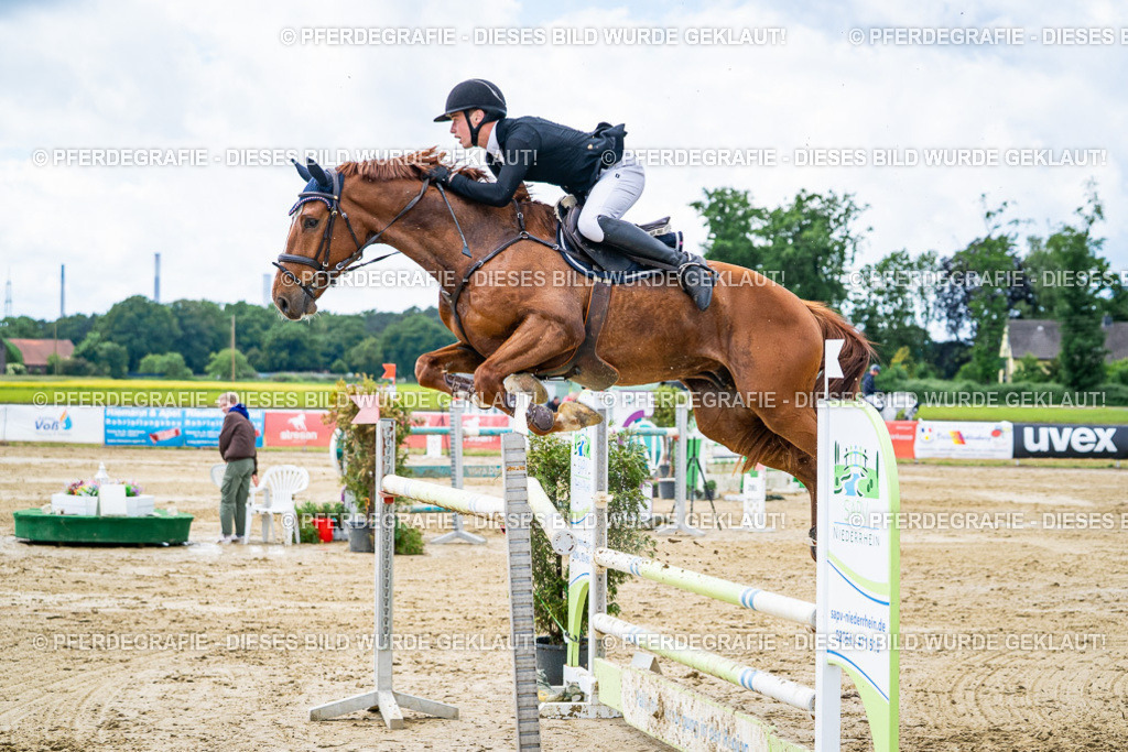 DSC04873 | Pferdegrafie