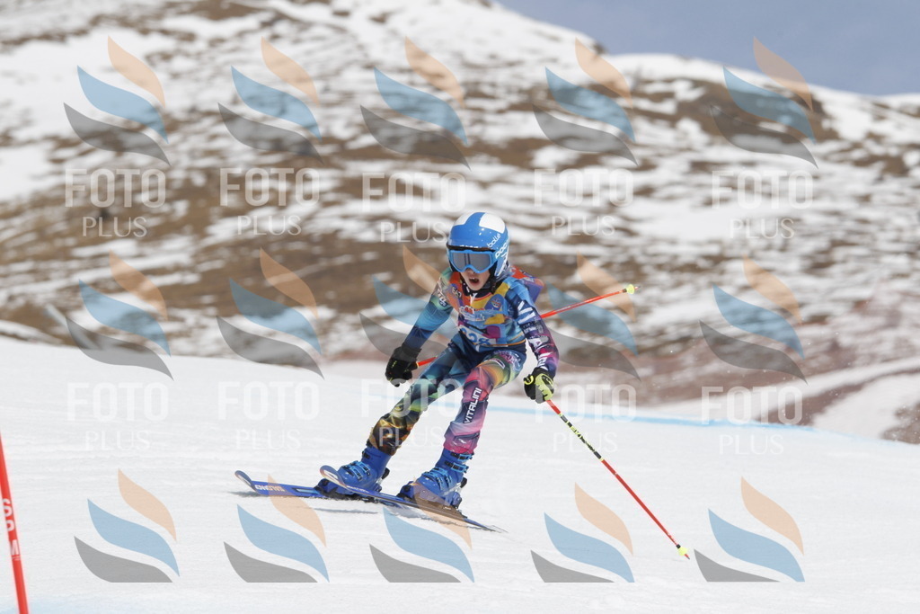 _U3G2488 | holidayphoto