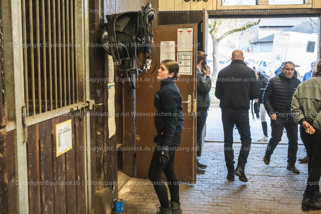 20240302_Hengstvorstellung_Marbach_TOMsPiC_0042 | equistock