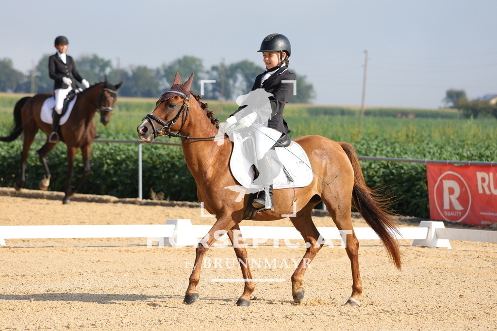 0P6A8078 | Willkommen bei Brunnmayr - Design & Fotografie – Ihrem Spezialisten für Reitturniere und Pferdeveranstaltungen in Oberösterreich, Salzburg und Bayern! Seit über 17 Jahren sind wir leidenschaftlich dabei.