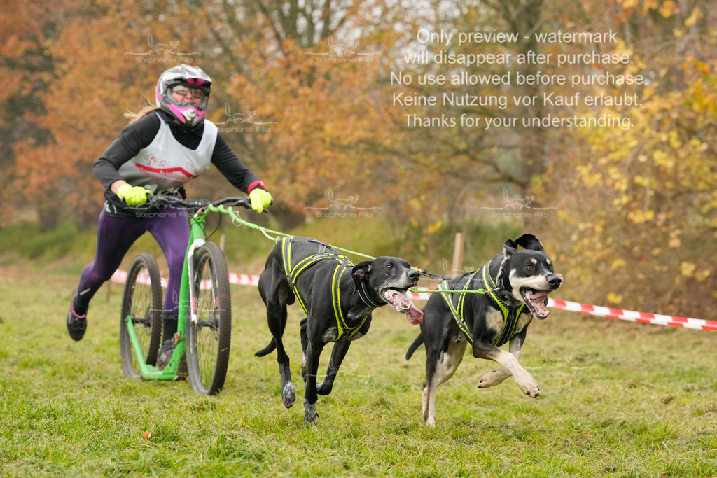 Visbeck_Sa_DS2DR2-58 | stephaniefillaphotographie - Realisiert mit Pictrs.com