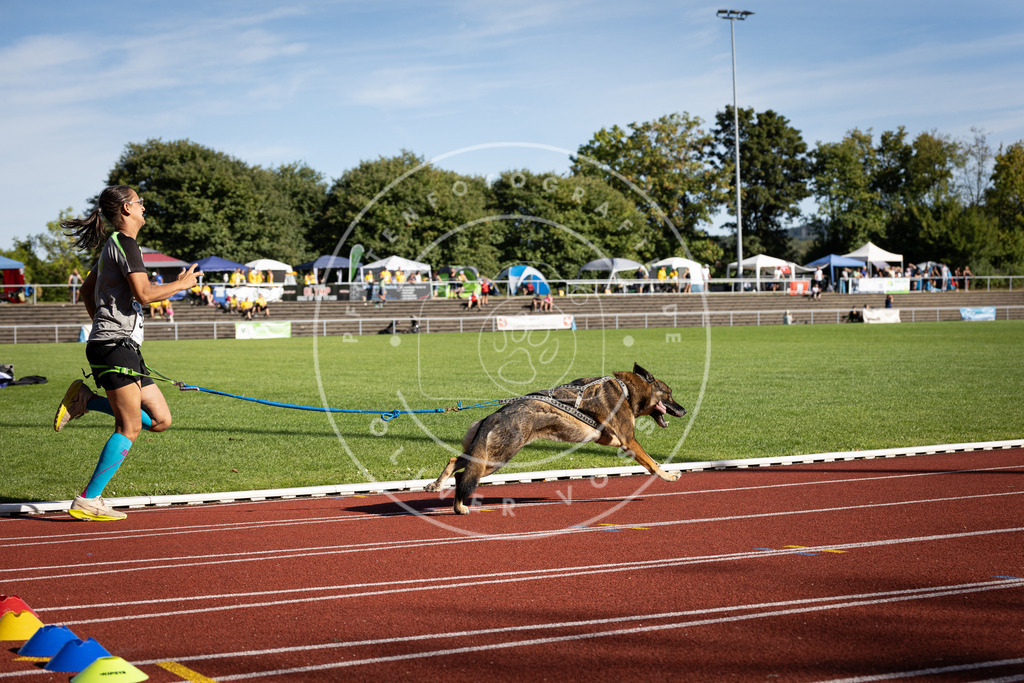 Pfotenfotografie_DV3A8450 | Hundefotografie, Tierfotograf, Pfotenfotografie, Fotoshooting Hund, Hunde Portrait, Hundesport, Hundeportraits, Heideshooting, Hunde, Sportfotograf, Hundefotograf, Turnierhundsport, THS,  - Realisiert mit Pictrs.com