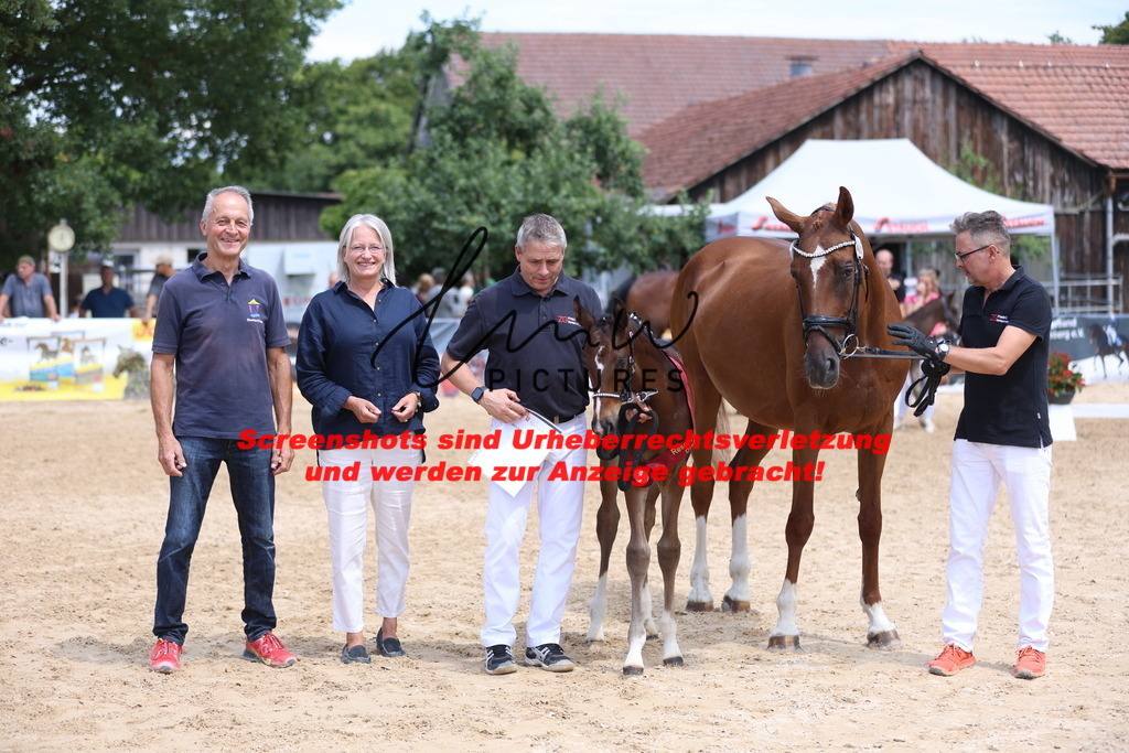 Fohlenschau_Schwäbisch_Hall_dressurbetonte_Fohlen_RESERVE SIEGER_KN 15_6 | lmwpictures - Realisiert mit Pictrs.com