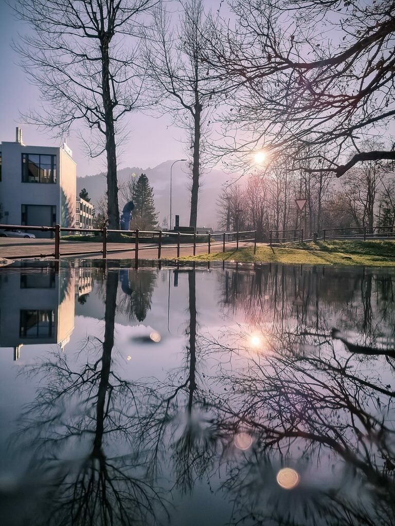 PSX_20221208_145215 | mtkfoto_ - Realisiert mit Pictrs.com