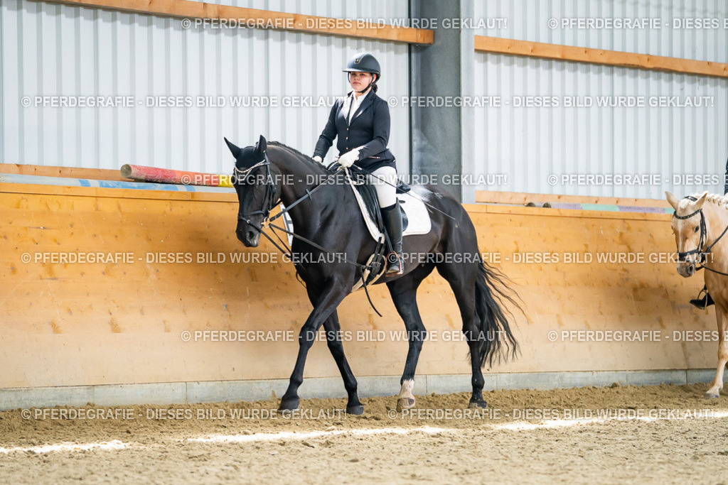 DSC04367 | Pferdegrafie