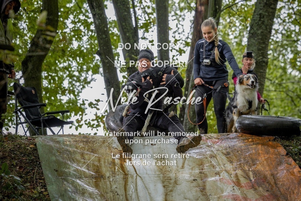 nelerasche_Hunsrück_Sa1430-1500_337-final | nelerasche