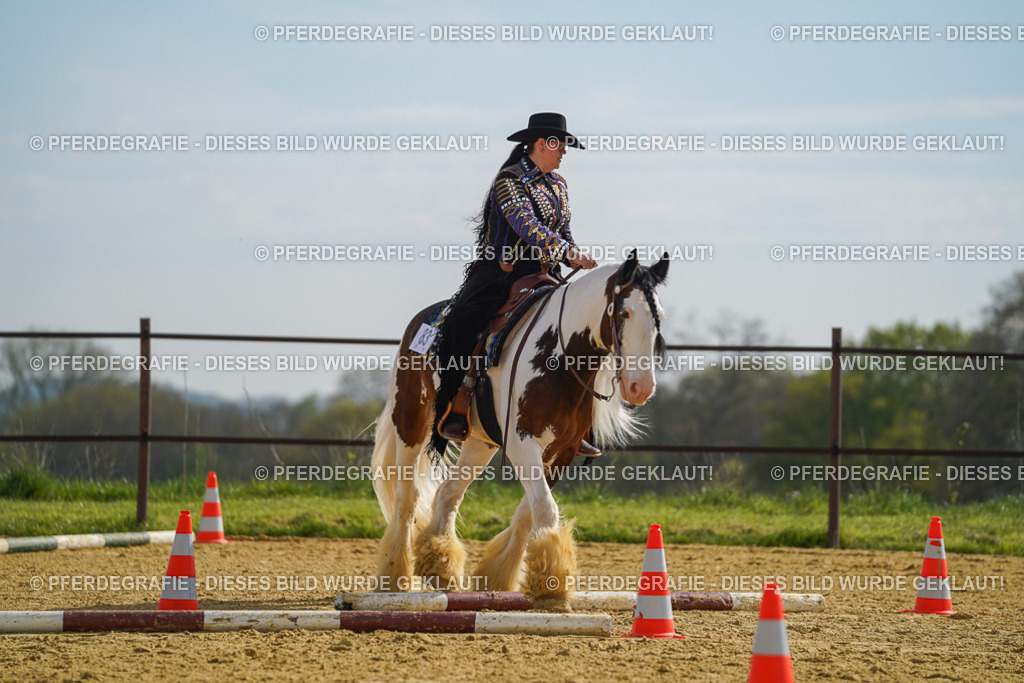 DSC01653 | Pferdegrafie