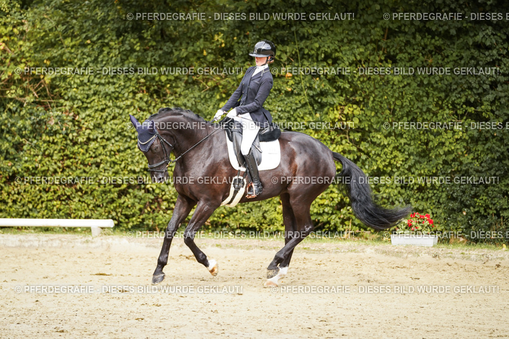 DSC09960 | Pferdegrafie