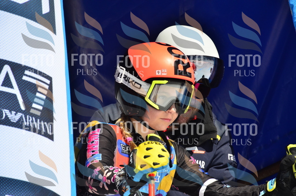 _ELE0969 | holidayphoto