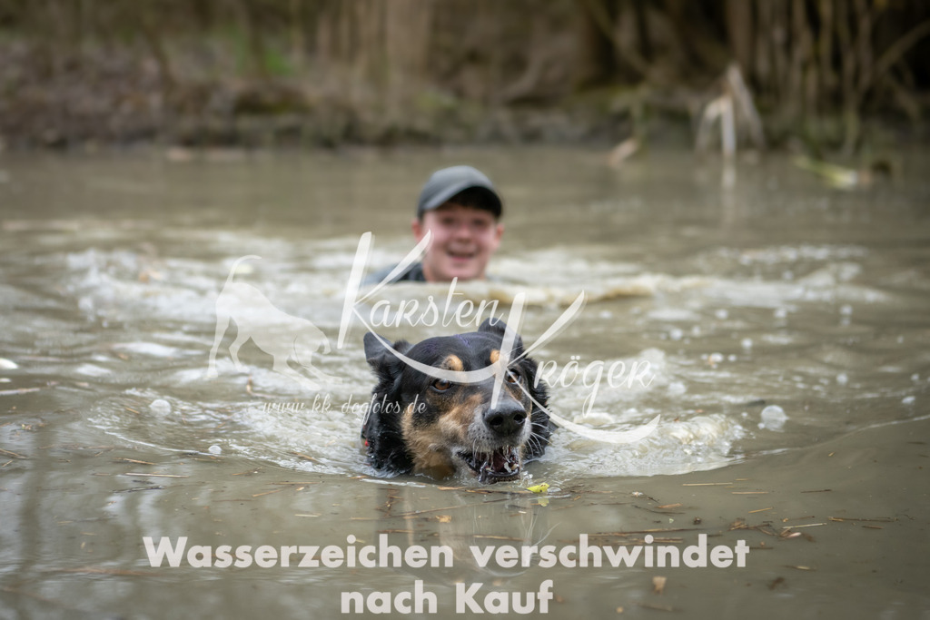1527_ZZ93014 | kk-dogfotos