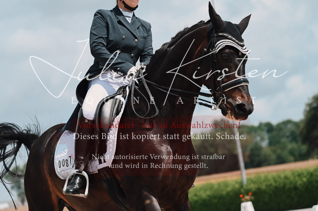 DSC_4078 | Pferde- und Turnierfotografie in Westsachsen. Pferdeportraits, Auftragszeichnungen und intuitive Kunst.