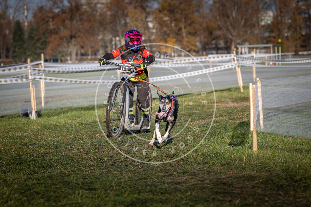CaniXpix_0L8A4129 | Hundefotografie, Tierfotograf, Pfotenfotografie, Fotoshooting Hund, Hunde Portrait, Hundesport, Hundeportraits, Heideshooting, Hunde, Sportfotograf, Hundefotograf, Turnierhundsport, THS,  - Realisiert mit Pictrs.com