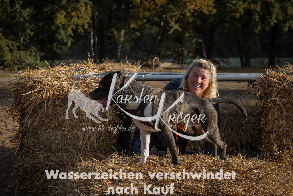 0957_ZZ95745 | kk-dogfotos