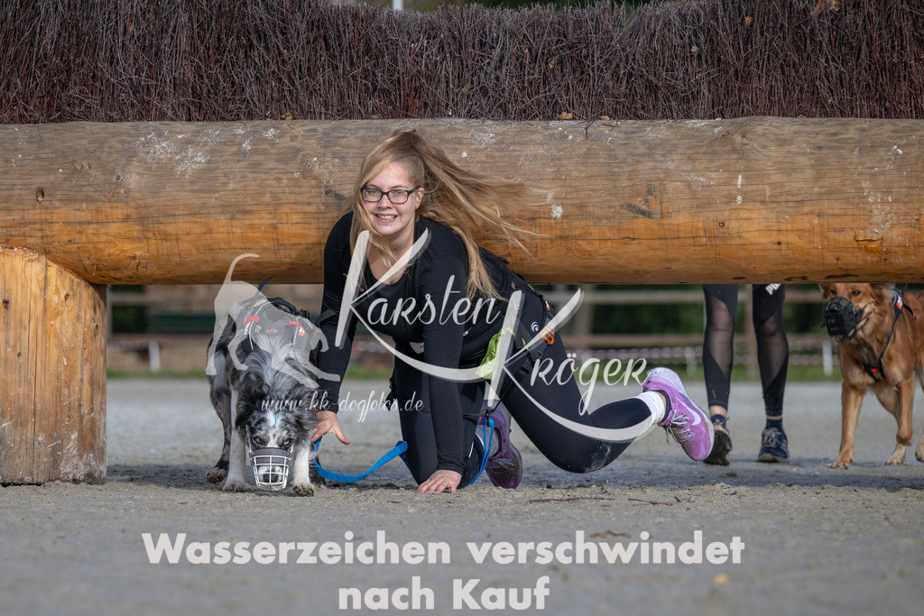 1121-94071 | kk-dogfotos