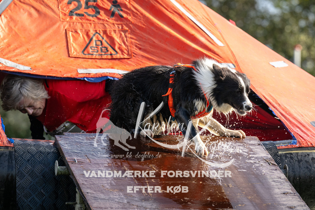 1404-93636 | kk-dogfotos