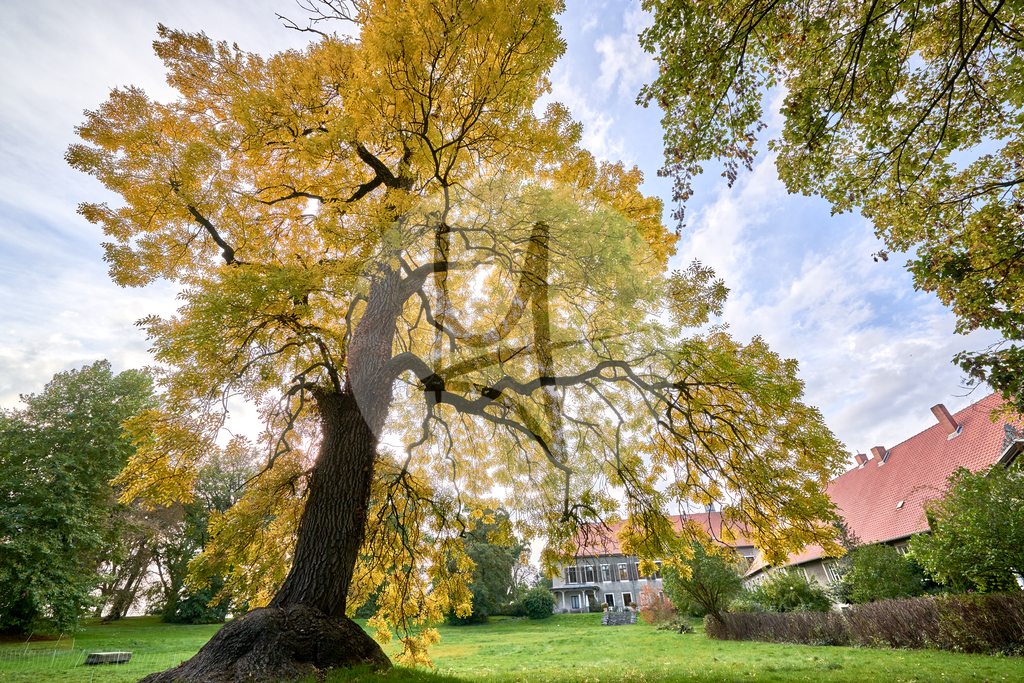 Gutshof Luklum #nhavo | Meurer Shop - Realisiert mit Pictrs.com