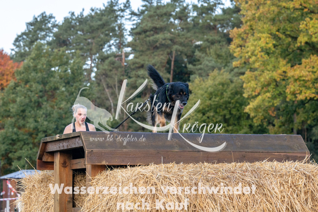 0851_ZZ91587 | kk-dogfotos