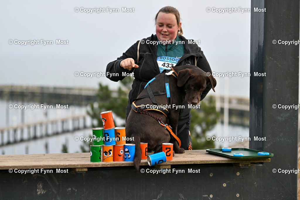 DSC_6169 | Hallo und herzlich Willkommen auf meiner Shop-Seite Fynn Most.

Ich wünsche Dir viel Spaß beim stöbern durch die Bilder, wenn Du Fragen hast oder Bilder vermisst, kannst du mir gerne eine Nachricht schreiben. - Realisiert mit Pictrs.com