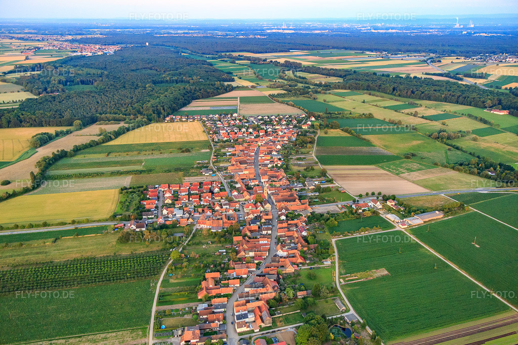 Luftbild: Ortsansicht von Westen in Erlenbach bei Kandel im Bundesland Rheinland-Pfalz in Deutschland. Foto: IMG_082858.jpg vom 25.06.2015 durch Werner Riehm/FLY-FOTO.de