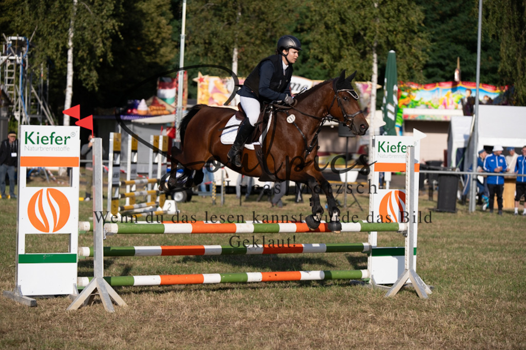 A7V08088 | Pferdefotograf