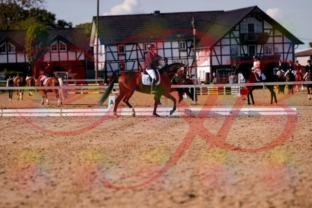 2026_10_03_Siefer-Hof_125815_Z81_47956936 | Professionelle Reitsport-, Turnier- und Eventfotografie von Robert Broda. Galerien mit ausgewählten und bearbeiteten Bildern direkt online ansehen und bestellen.