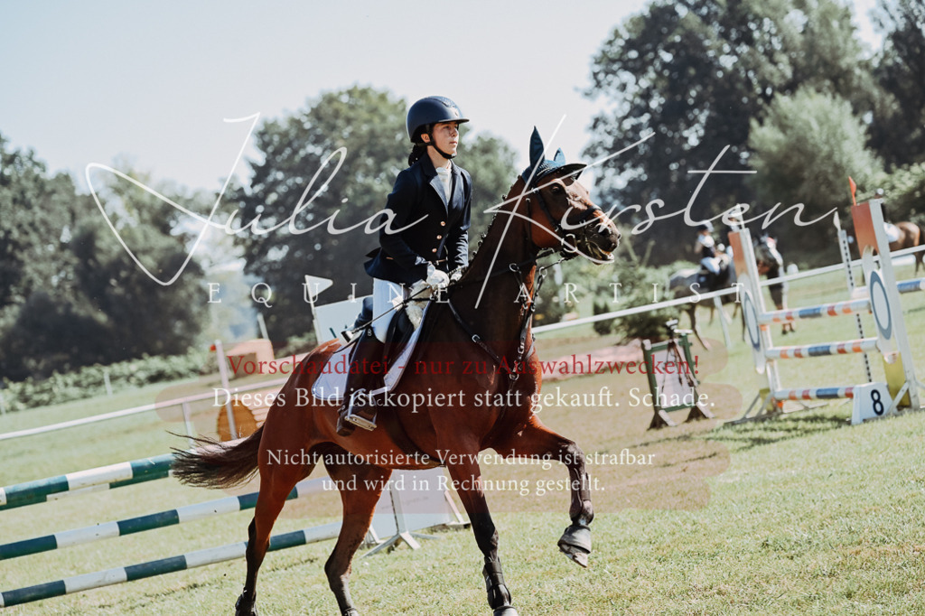 DSC_5541 | Pferde- und Turnierfotografie in Westsachsen. Pferdeportraits, Auftragszeichnungen und intuitive Kunst.