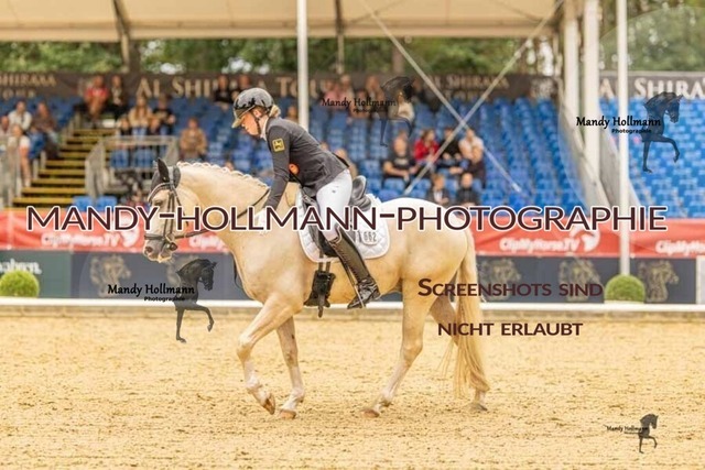 28-8-26 5j DRE-810 | mandyhollmannphotographie