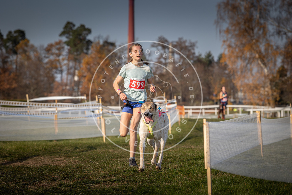 CaniXpix_0L8A0030 | Hundefotografie, Tierfotograf, Pfotenfotografie, Fotoshooting Hund, Hunde Portrait, Hundesport, Hundeportraits, Heideshooting, Hunde, Sportfotograf, Hundefotograf, Turnierhundsport, THS,  - Realisiert mit Pictrs.com