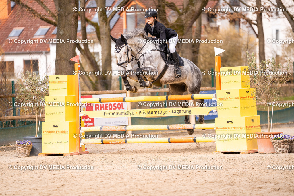 Kranichstein Tag 2-385 | dv-media-shop - Realisiert mit Pictrs.com