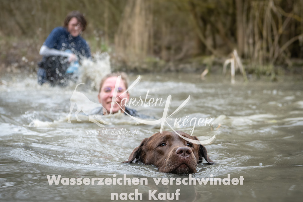 1105_ZZ95645 | kk-dogfotos