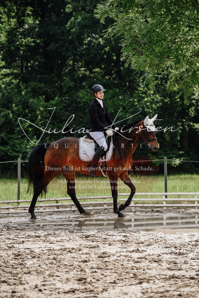 DSC_9810 | Pferde- und Turnierfotografie in Westsachsen. Pferdeportraits, Auftragszeichnungen und intuitive Kunst.