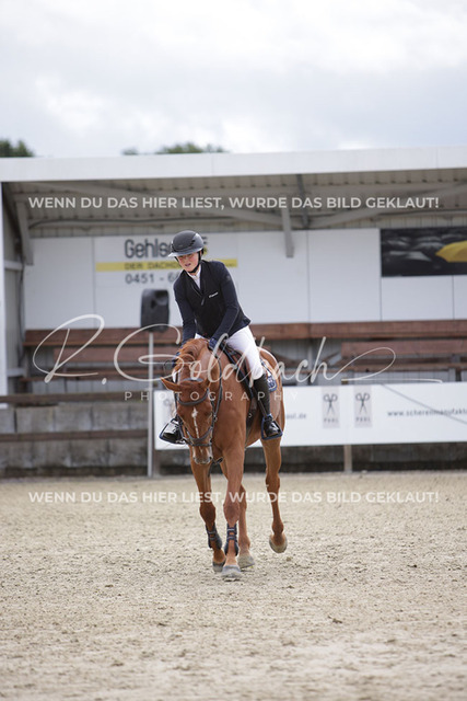 1J2A0630Pheline Ahlmann_ Belloumi_ Kn046_ Havekost | Foto- und Videografie für alles rund ums Pferd. Hochwertige Bilder und Videos vom Spring- und Dressurreiten, Voltigieren & mehr. Jetzt aktuelle Veranstaltungen und Preise im Shop ansehen. - Realisiert mit Pictrs.com