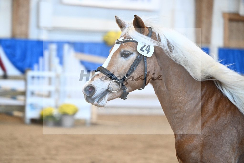 Kat-Nr. 24 nn v. Walkman M_Hartmann_48250485 | hf-fotografie - Realisiert mit Pictrs.com