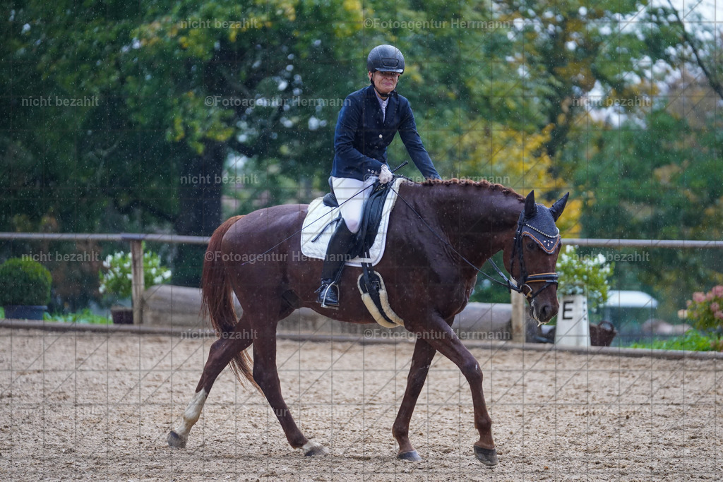 20221008-FAH02083 | Diessen am Ammersee, 2022, Dressur- und Springturnier, Reitsportbilder, Turnierfotografen Bayern, Pferdefotografen, Fotoagentur Herrmann, Turnierbilder
