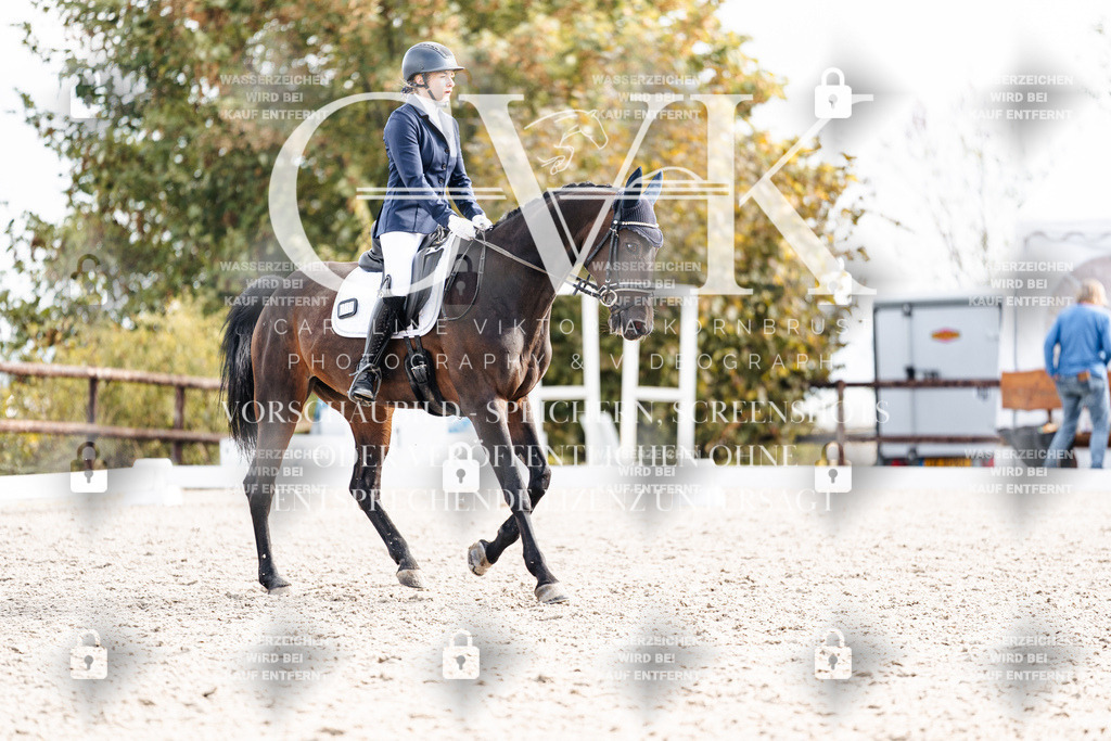 CK901487 | Turnierfotografie Pferdefotografie Trier Rheinland-Pfalz Pferdesport Reitsport Tierfotografie Sportfotografie Pferdevideo Pferdevideografie Equestrianvideography equestrianphotography  - Realisiert mit Pictrs.com