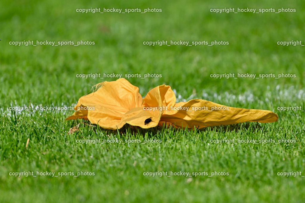 Carinthian Lions vs. Styrian Bears | Carinthian Lions vs. Styrian Bears, Carinthian Lions vs. Styrian Bears am 20.05.2024 in Klagenfurt (ASV Sportplatz), Austria, (Photo by Bernd Stefan)