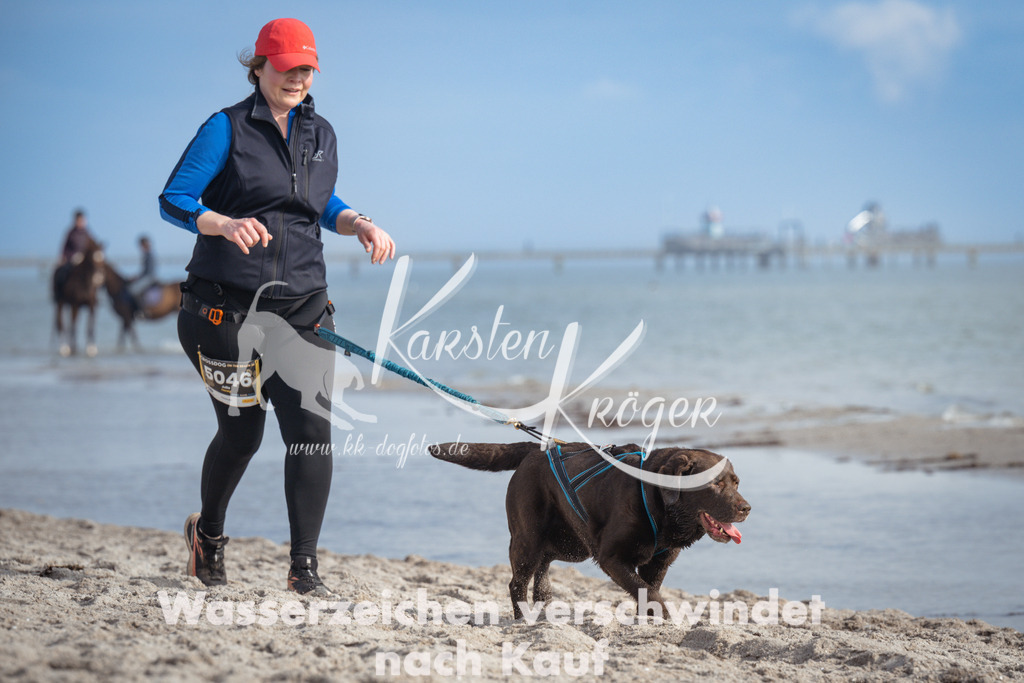 1235_ZZ97395 | kk-dogfotos