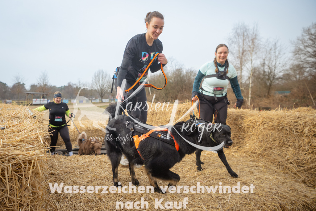 1010_ZZ92573 | kk-dogfotos