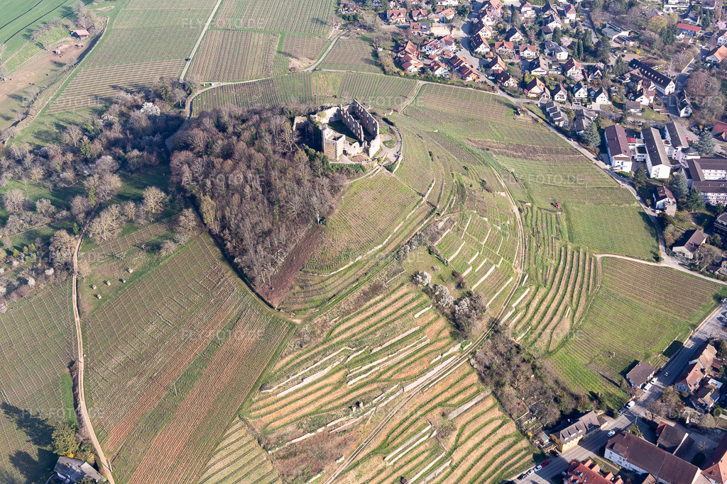 Luftbild: Burgruine Staufen in Staufen im Breisgau im Bundesland Baden-Württemberg in Deutschland. Foto: IMG_112975.jpg vom 22.03.2019 durch Werner Riehm/FLY-FOTO.de