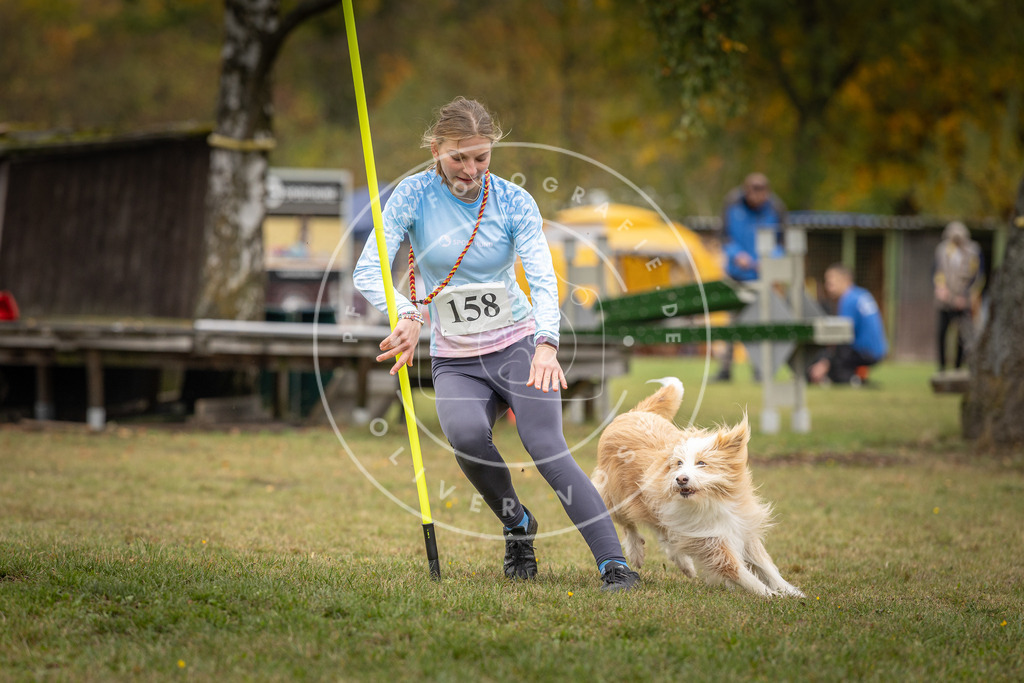 Pfotenfotografie_DV3A4916 | Hundefotografie, Tierfotograf, Pfotenfotografie, Fotoshooting Hund, Hunde Portrait, Hundesport, Hundeportraits, Heideshooting, Hunde, Sportfotograf, Hundefotograf, Turnierhundsport, THS,  - Realisiert mit Pictrs.com