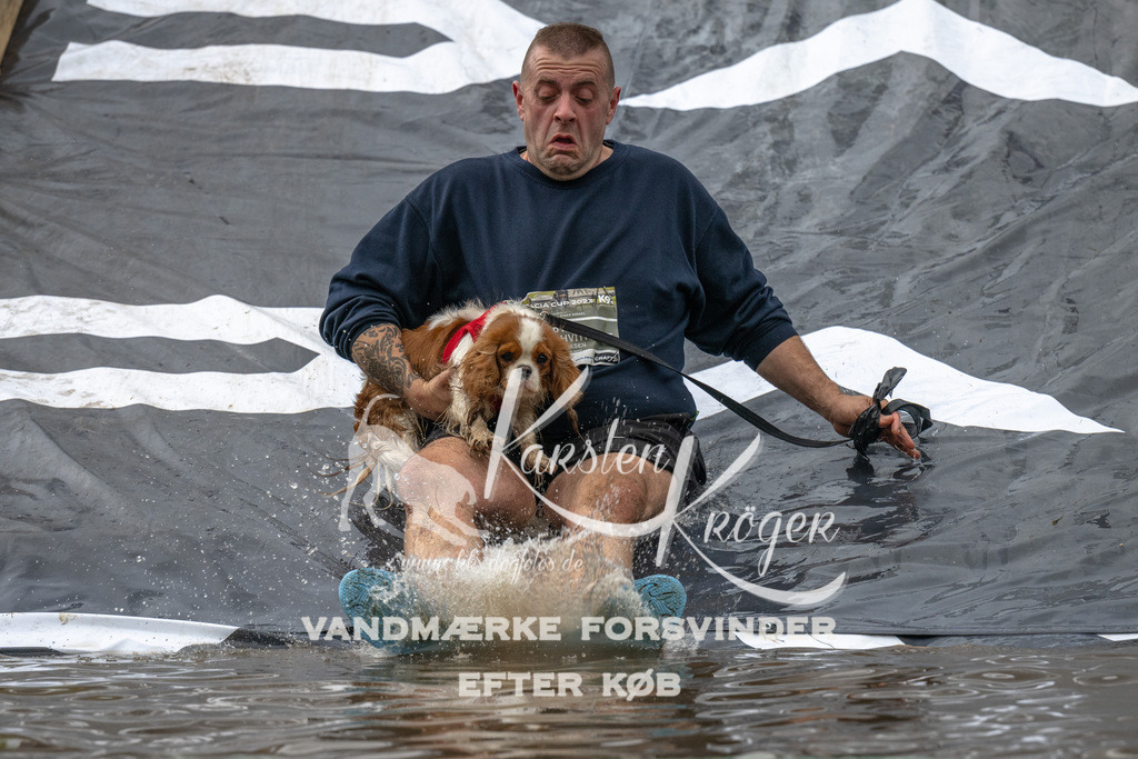 1603_ZZ92133 | kk-dogfotos