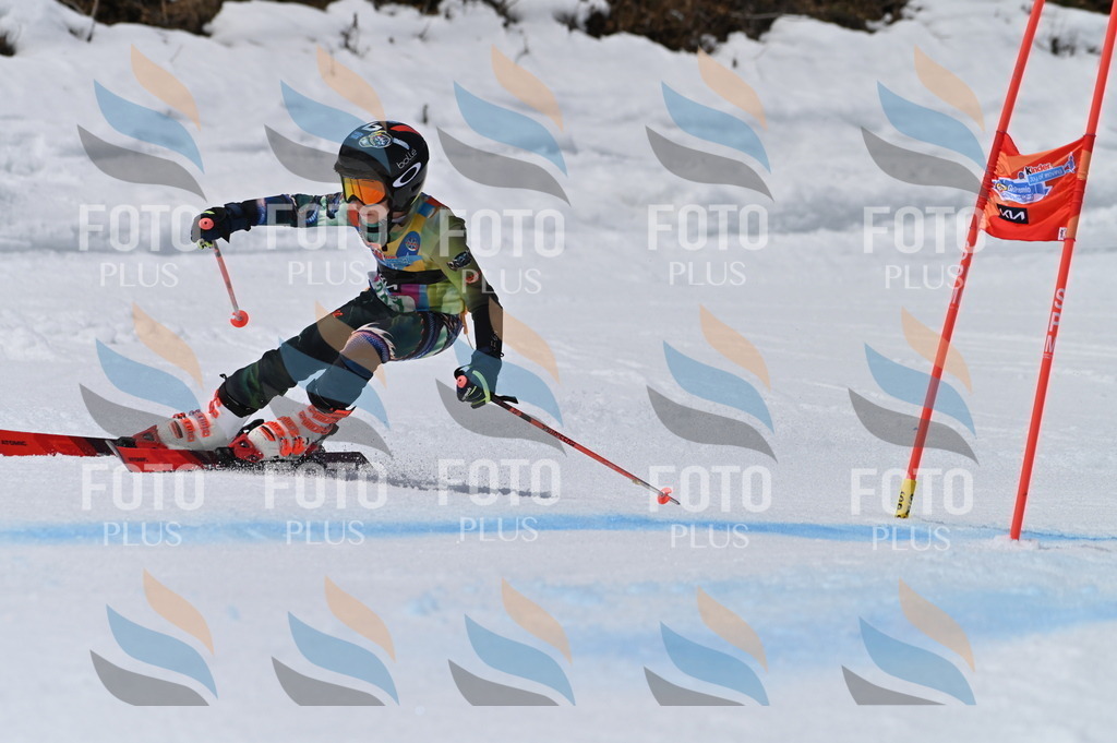 BGV_6795 | holidayphoto