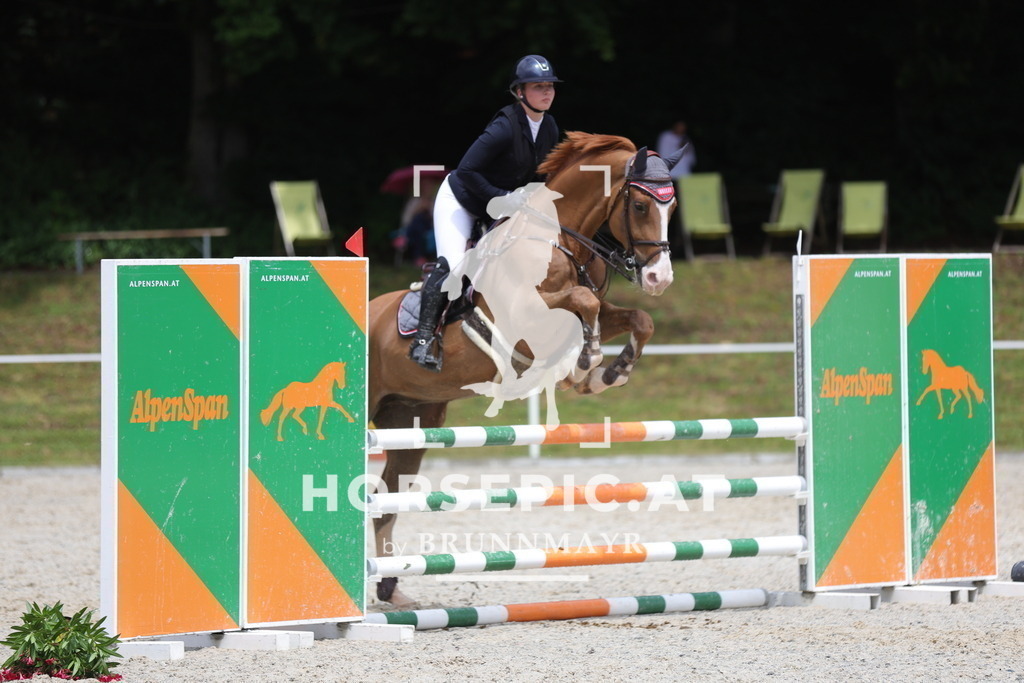 0P6A3637 | Willkommen bei Brunnmayr - Design & Fotografie – Ihrem Spezialisten für Reitturniere und Pferdeveranstaltungen in Oberösterreich, Salzburg und Bayern! Seit über 17 Jahren sind wir leidenschaftlich dabei.