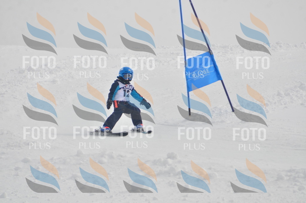 A5082 | holidayphoto