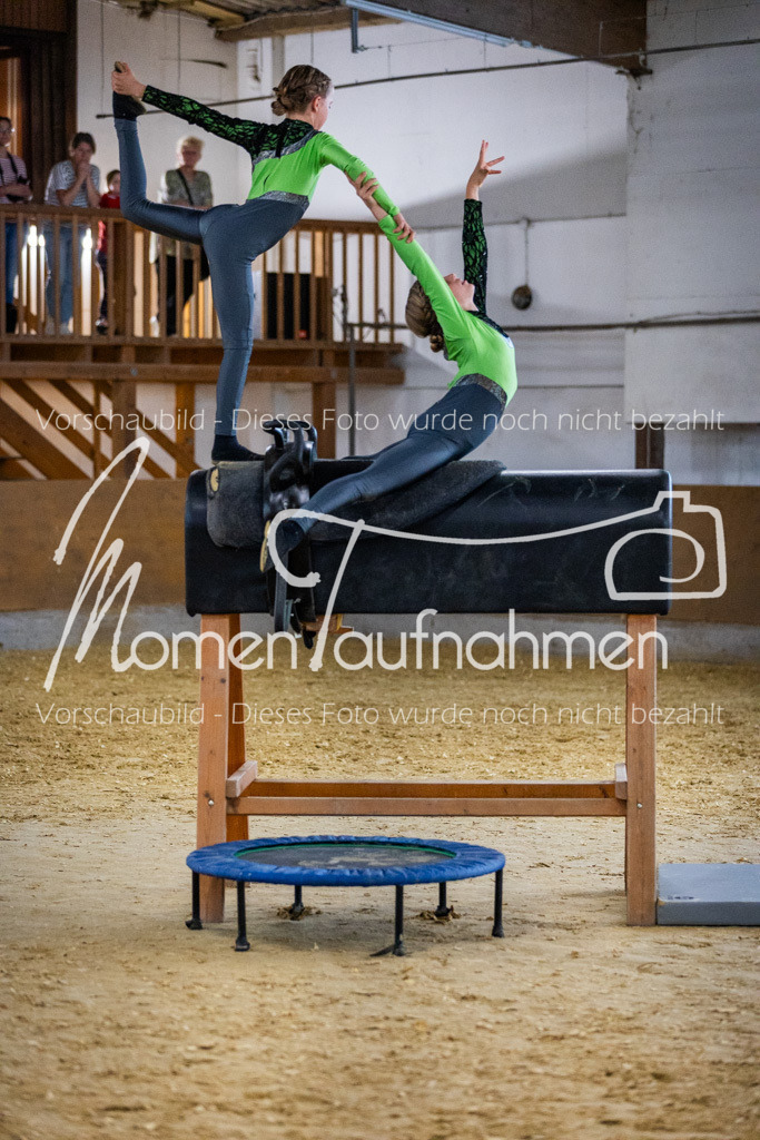 Holzpferd-016 | MomenTaufnahmen Pferdesportfotos