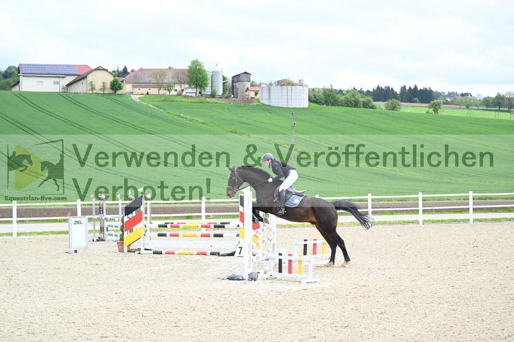DSC_0637 | equestrian-live-com