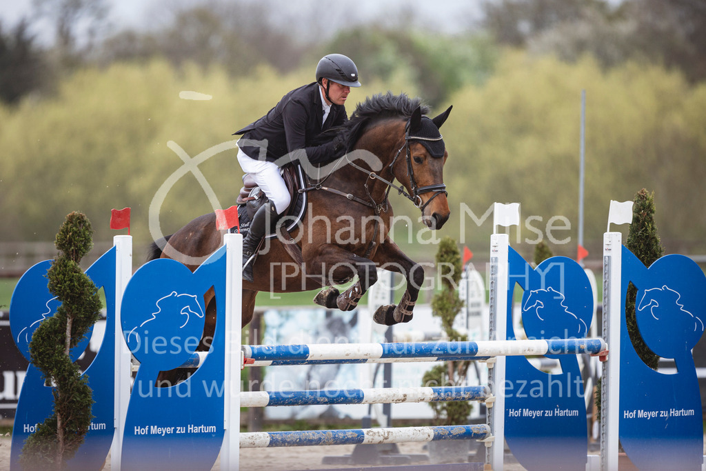 250417_Springpferde-L1-231 | Deine schönsten Turniermomente als professionelle Fotos! Entdecke hochwertige Pferdesport-Fotografie im Online-Shop. Jetzt Fotos finden & bestellen!